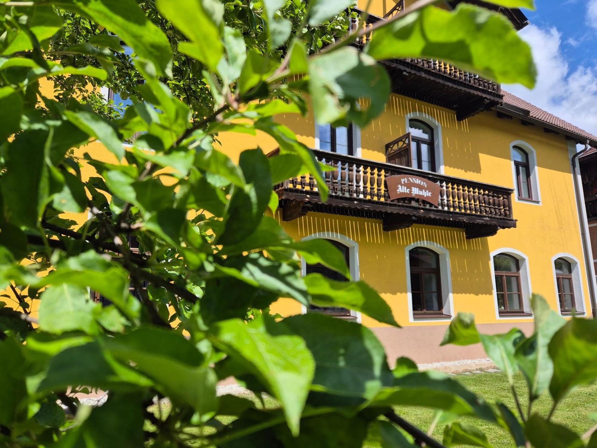 Pension Alte Muehle Gmund in Karnten Exterior photo