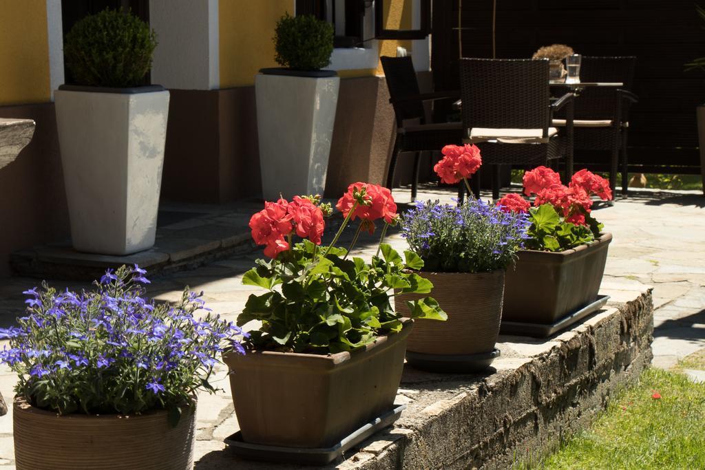 Pension Alte Muehle Gmund in Karnten Exterior photo