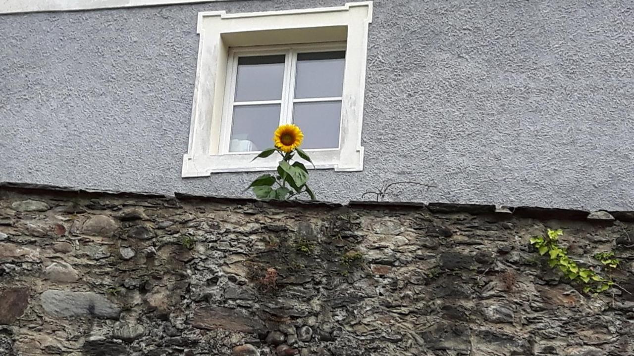 Pension Alte Muehle Gmund in Karnten Exterior photo